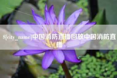 姜堰中国消防直播回放中国消防直播