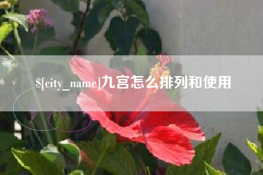 姜堰九宫怎么排列和使用