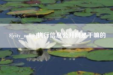 姜堰执行信息公开网是干嘛的