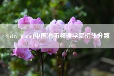 姜堰中国消防救援学院招生分数