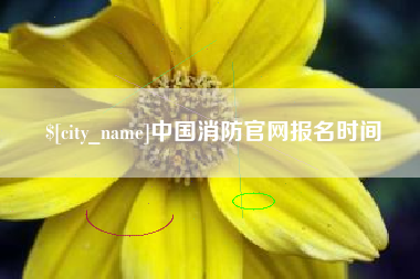 姜堰中国消防官网报名时间