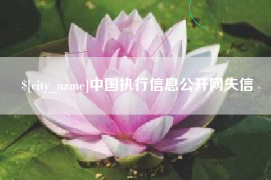 姜堰中国执行信息公开网失信