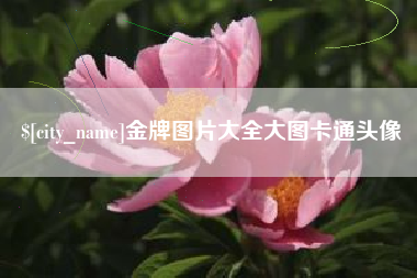 姜堰金牌图片大全大图卡通头像