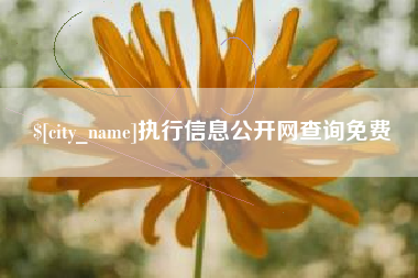 姜堰执行信息公开网查询免费