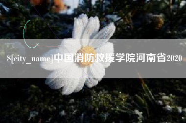 姜堰中国消防救援学院河南省2020